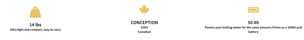 Volthium - 12V 50Ah battery