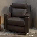 2-Arm Swivel Glider Recliner