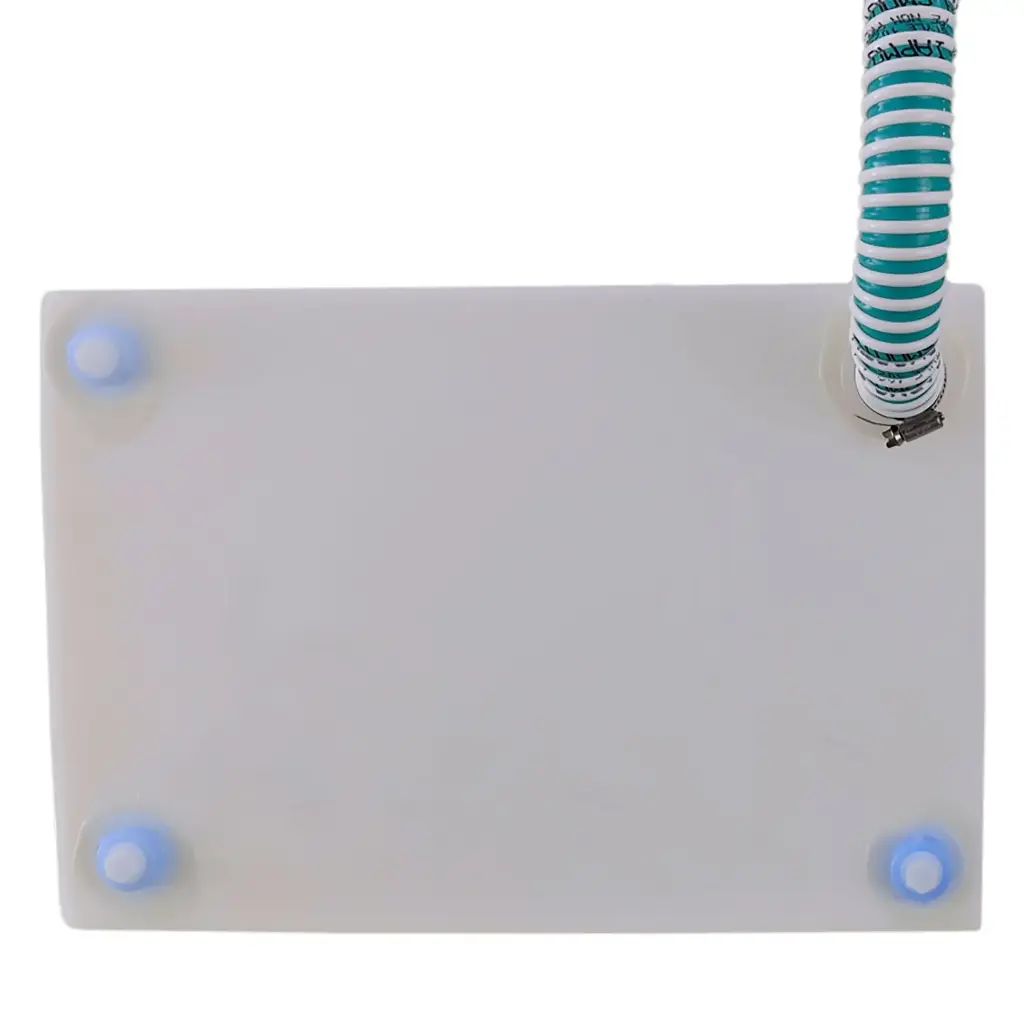 RV Fresh Water Fill Hose 1 ¼" Ribbed 25' | With 2 Hose Clamps