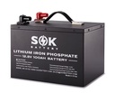 SOK – 12V 100Ah Lithium Battery, Bluetooth, Self-Heating with Metal Case